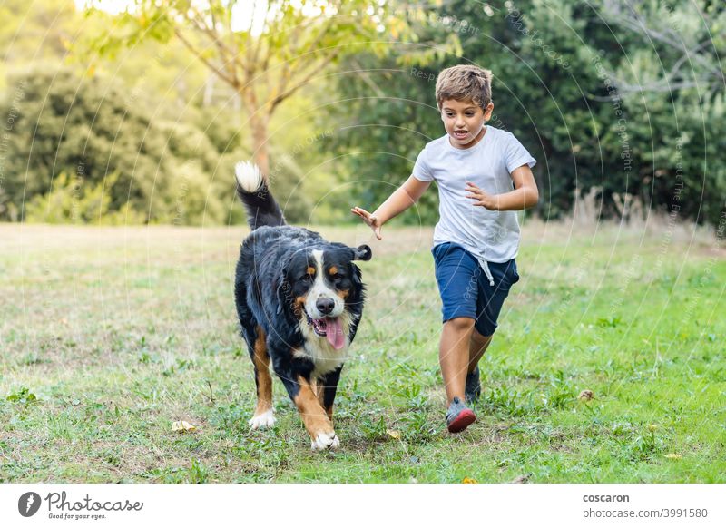 Little boy playing with a Mountain Dog outdoors active autumn black brown caring for animals caucasian child childhood cute dog fall field free freedom friend