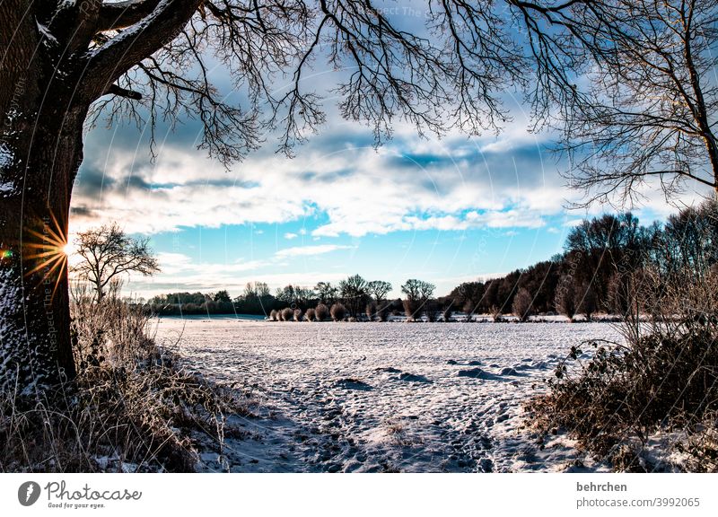 SUN(enwinter)DAY Sunbeam Sunlight Snowfall White Calm Environment Meadow Field Forest Winter Sky Nature Freeze Seasons Fabulous Snowscape Colour photo