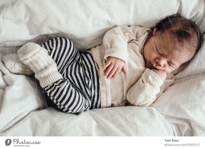 Procrastination - baby lies cuddled up on duvet with legs crossed and hand under chin sleeping Baby Sleep Peaceful Dream Cute Blanket Small cute Innocent Face