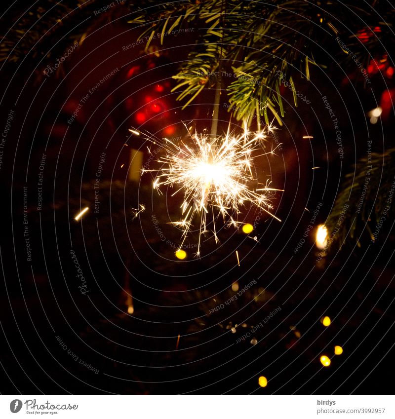 sparkler on a christmas tree Spark Sparkler Decoration baubles Fir branch Christmas Feasts & Celebrations Christmas & Advent Bright Burn