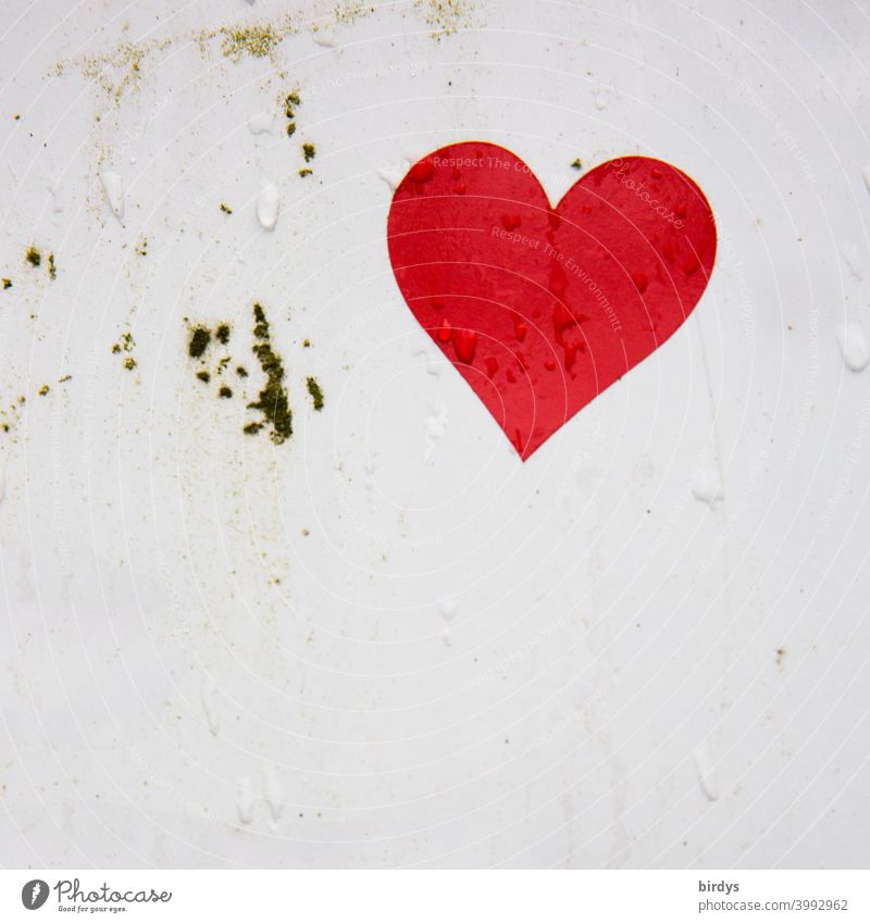 red heart on white background with water drops. watering heart Heart Drops of water Love Infatuation Wet Romance Emotions Red valentine White heart-shaped