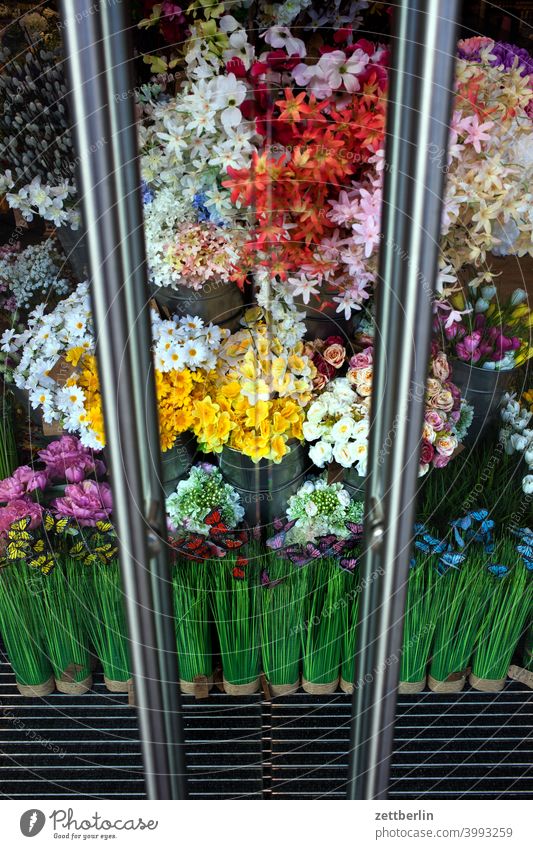 Flowers in the shop window Blossom blossom Bouquet Ostrich variegated Colour colored Flower shop flower shop assortment Selection Window Shop window door