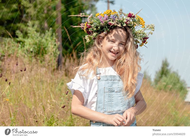 Cute pretty smiling girl with a wreath of wild flowers on her head. Summer vacation in nature. Happy childhood concept. cute smile beauty fresh summer happiness