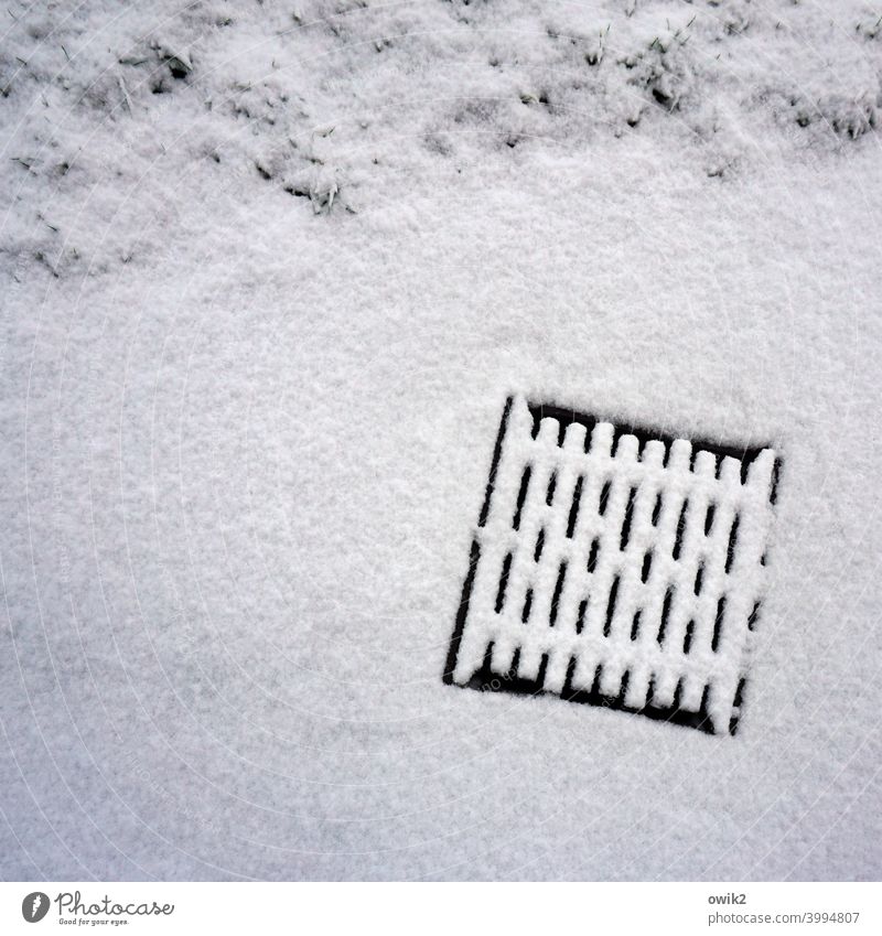 Snow Gully manhole cover Snow layer Winter White Cold Deserted Exterior shot Ice Nature Snowscape Colour photo Frost Roadside Grating Detail Drainage Silhouette
