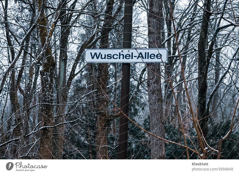 Here you are allowed to "fuzz"! Signpost at the edge of the forest with the inscription "Wuschel-Allee". Road marking Lanes & trails Signs and labeling