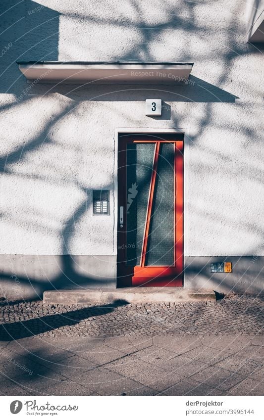 Tree shade on front door in winter in Kreuzberg Wall (barrier) Wall (building) Hip & trendy Light Day Copy Space middle Exterior shot Experimental