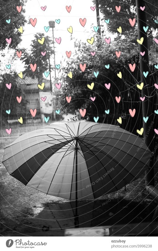 black and white umbrella at rainy season with colour full love weather wet day outdoor water drop background nature protection raindrop fall storm outside