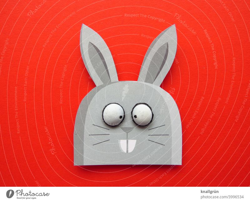 rabbit Hare & Rabbit & Bunny Squint Easter Easter Bunny Funny Animal DIY Handicraft wittily big eyes Colour photo Red Gray Black White Buck teeth Hare ears