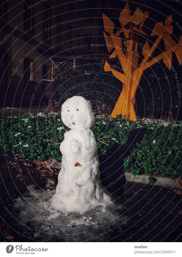 Snow White Snowman Thaw Carrot pavement Winter Exterior shot Seasons
