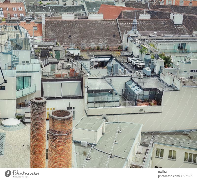On top of that Vienna City sea of houses Capital city Window Exterior shot Panorama (View) Austria outlook Colour photo Town House (Residential Structure)