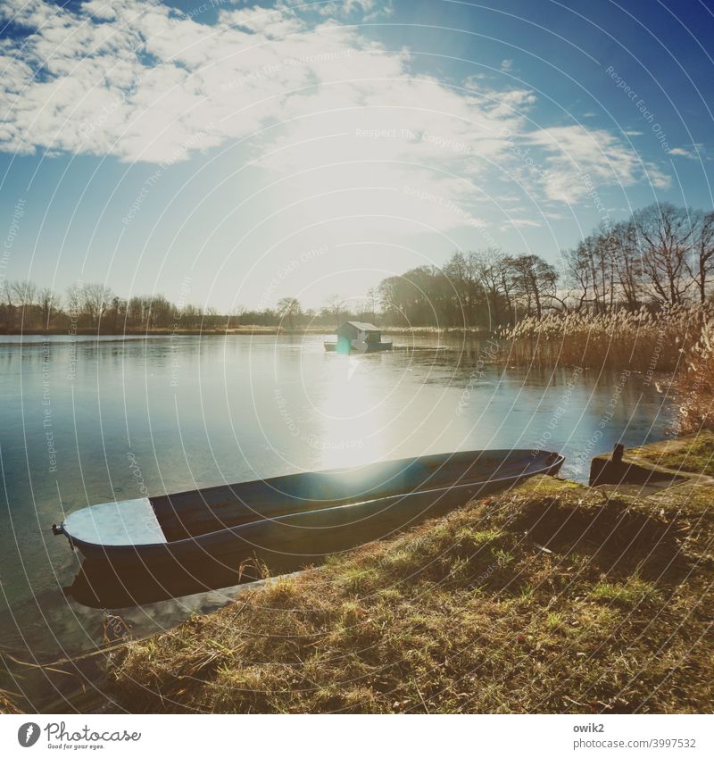 Barque Environment Nature Landscape Horizon Clouds Sky Water Plant Beautiful weather Tree Grass Bushes Lakeside Lausitz forest Germany Fishing boat Motor barge