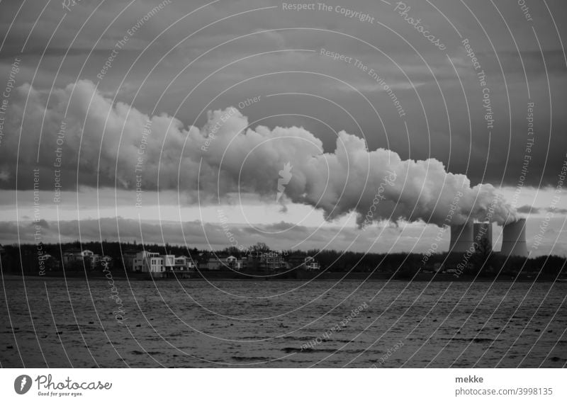 Power plant cloud in grey December weather Clouds power station cooling tower Lake cloudy Black & white photo Water Steam soiling Energy Lignite Wind Drift