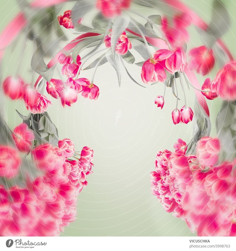 Beautiful tulips frame with copy space for your design. Pink tulips flowers at light green. Springtime background beautiful pink springtime romantic branch