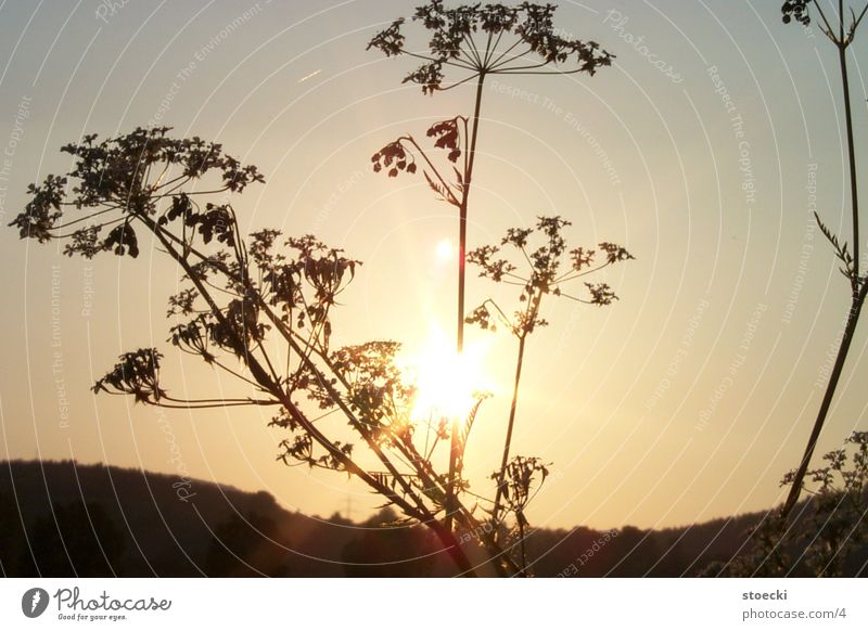 Sun in Kleineutersdorf 2 small uterus village Nature Sunset