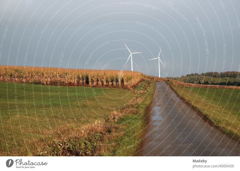 White wind turbines on the horizon at the end of a road through meadows and fields during rainy weather in Gembeck at Twistetal in the district of Waldeck-Frankenberg in Hesse, Germany