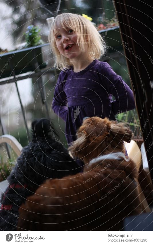 Child with two dogs Pet Dog fortunate Love of animals Children and animals Man and dog Animal Infancy Humans and animals Girl Friendship Watchdog