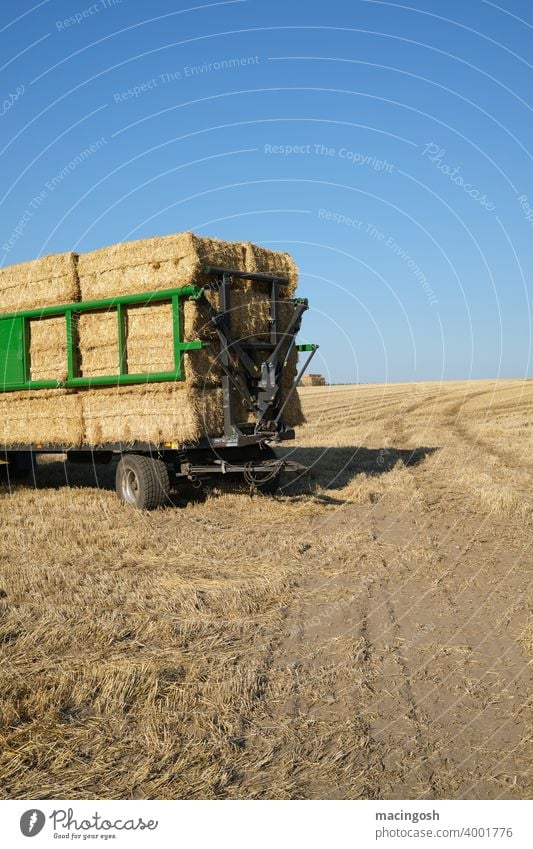 late summer haymaking Hay harvest Hay trailer Agriculture Agricultural machine Trailer Free space text space copy space copyspace Blue sky midsummer