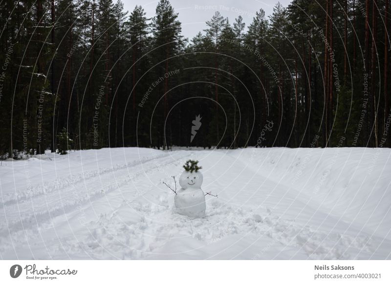 snowman greeting on a forest road christmas cold country frost frozen ice landscape nature nobody outdoors park season smile snowy trees white winter wood path