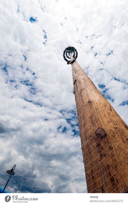 I'll put up a maypole for you May tree May 1 Tree trunk Tradition customs Spring Feasts & Celebrations fertility fertility symbol Sky dramatic sky