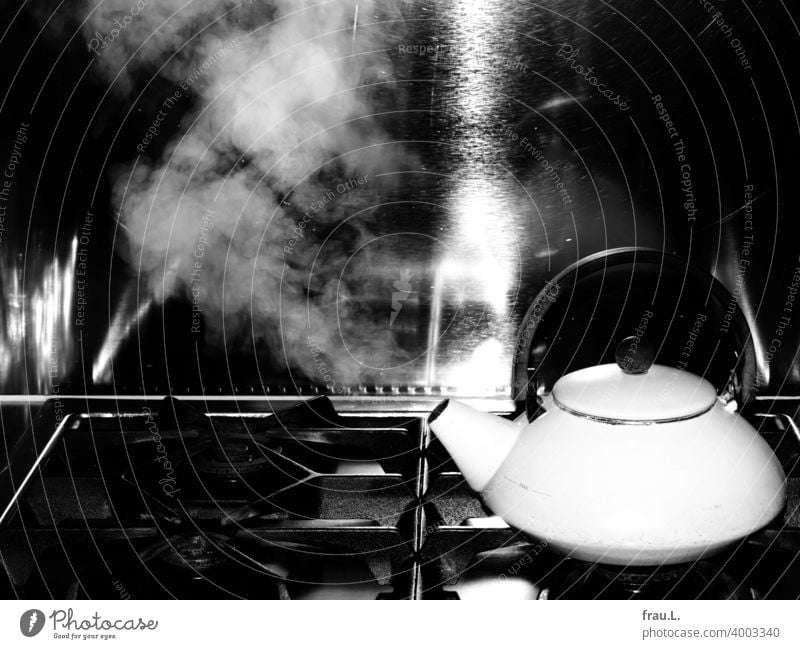 A kettle makes steam Boiler Cooking hob Gas High-grade steel reflection Water Steam boil Kitchen
