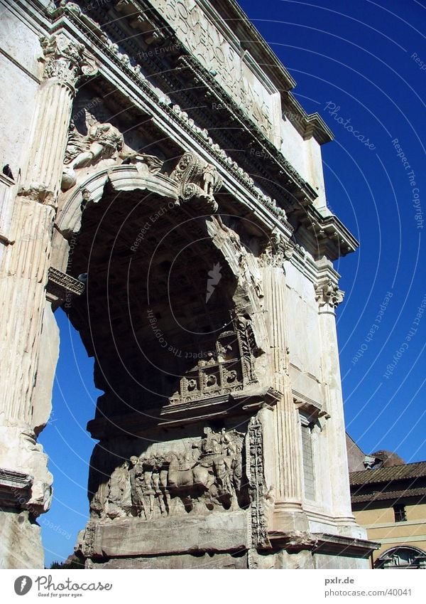 Foro Romano (Rome, Italy) Vacation & Travel Tourism Trip City trip Summer vacation Culture Sky Cloudless sky Beautiful weather Town Old town Ruin Gate