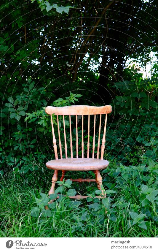 Old, rustic wooden chair stands in a bush Chair Wooden chair Rustic farmhouse furniture Shabby shabby overgrown Nature renaturation waste Green Disposal