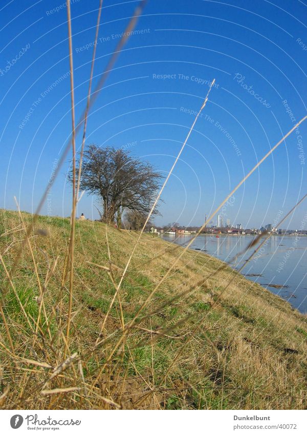 Elbe slope Grass Slope Flood