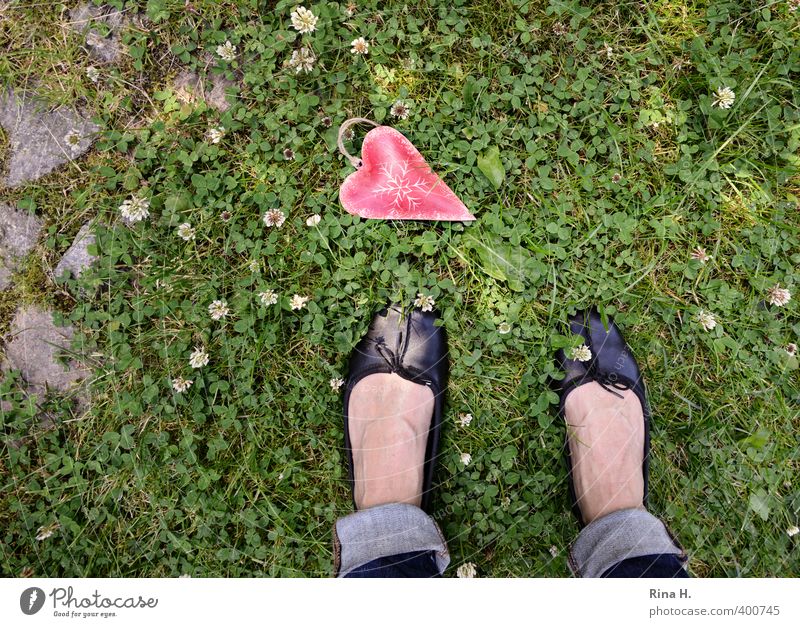 Lost Human being Summer Garden Meadow Jeans Footwear Stand Emotions Sadness Feet Heart Doomed Fall down Clover Paving stone Colour photo Exterior shot