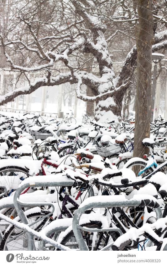Bicycle parking in the snow Snow bicycles Bicycle rack Winter buckle standstill snowed in chill Frost turned off Parking lot