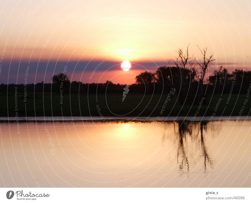 sunset Tree Lake Reflection Forest Clouds Pond Pink Australia Peace Sun River Branch Sunset