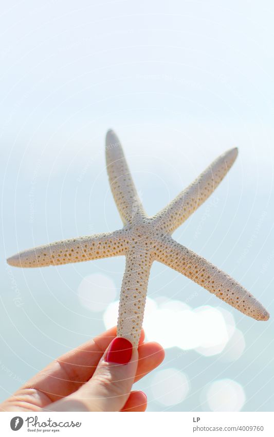 white star fish held by a hand of a woman Hope Playing Find Feelings And Emotions holiday Summer vacation relax Zen seashell Tourism background Tropical