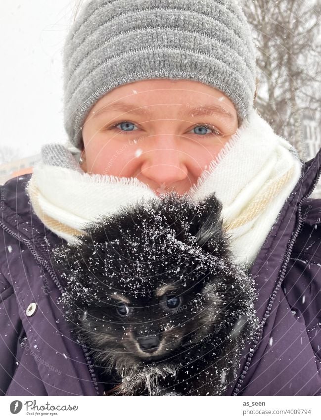 Young woman carries Black Pomeranian puppies through the snow Pygmy Spitz breed of dog blue eyes Looking into the camera Joy Love of animals Snowflake