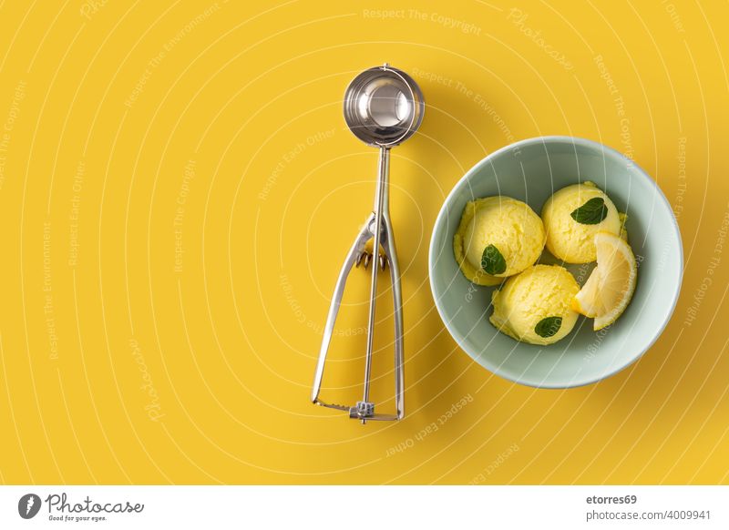 Lemon ice cream scoop decorated with mint leaves in bowl blue cold creamy dairy delicious dessert food freeze iced isolated lemon refreshment snack summer sweet
