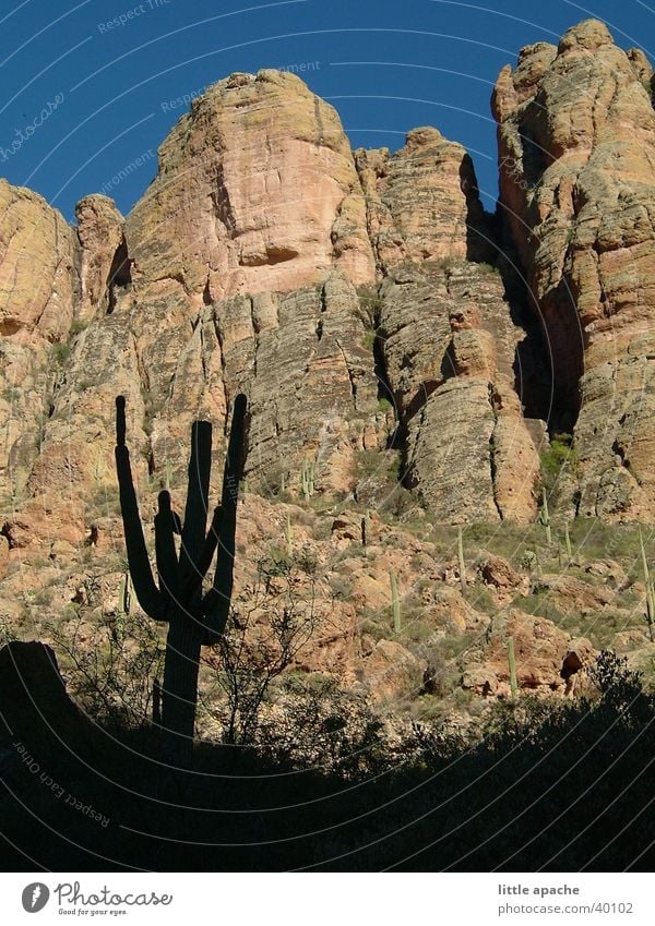 Apache Trail Arizona Cactus Dusk Native Americans Western Cowboy Mountain USA Rock Stone Shadow