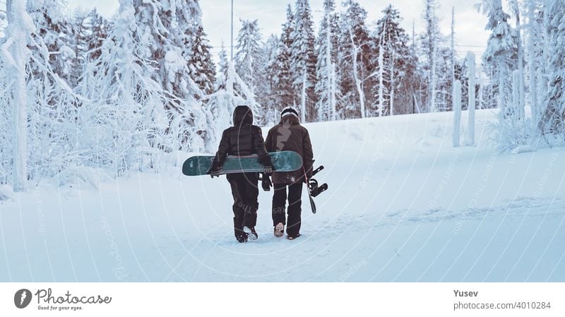 WEB banner format. Two frends snowboarders are walking through the winter forest. Snowboarding in the forest in the mountains. Backcoutry or freeride style. Life style.