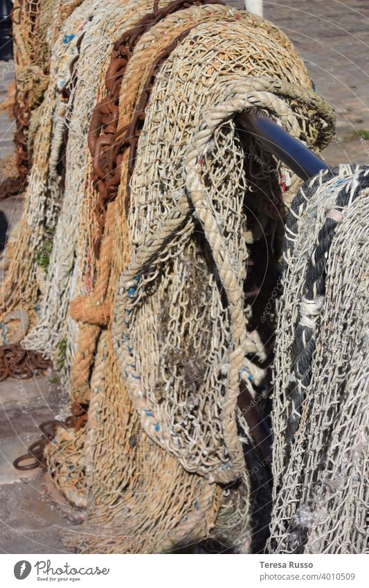 Fishing nets hanging up to dry Net Maritime Work and employment Catching net Subdued colour Detail Close-up Structures and shapes Colour photo gear