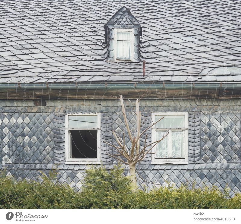 Relax House (Residential Structure) Slate slate wall Window Deserted Colour photo Building Facade Pattern Wall (building) Exterior shot ornamental Detail