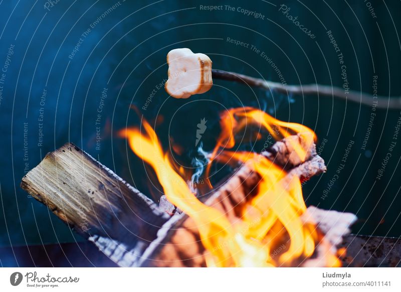 Marshmallow roasting over the fire flames. Marshmallow roasted on a skewer on the campfire Adventure background barbecue Bonfire Storage Candy Tenacious