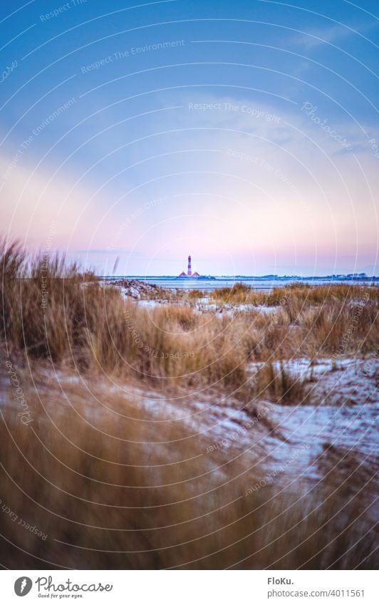 Lighthouse Westerhever behind the dunes of St. Peter-Ording North Sea North Sea coast Beach Ocean Vacation & Travel Exterior shot Sand Sky Relaxation Landscape