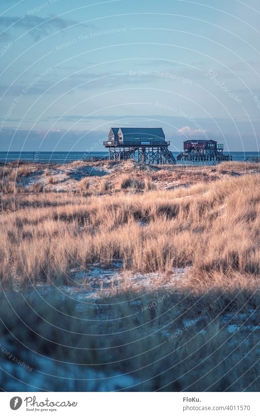 Winter atmosphere in St. Peter-Ording at the North Sea coast Beach dunes Ocean Vacation & Travel Exterior shot Sand Sky Relaxation Landscape Far-off places