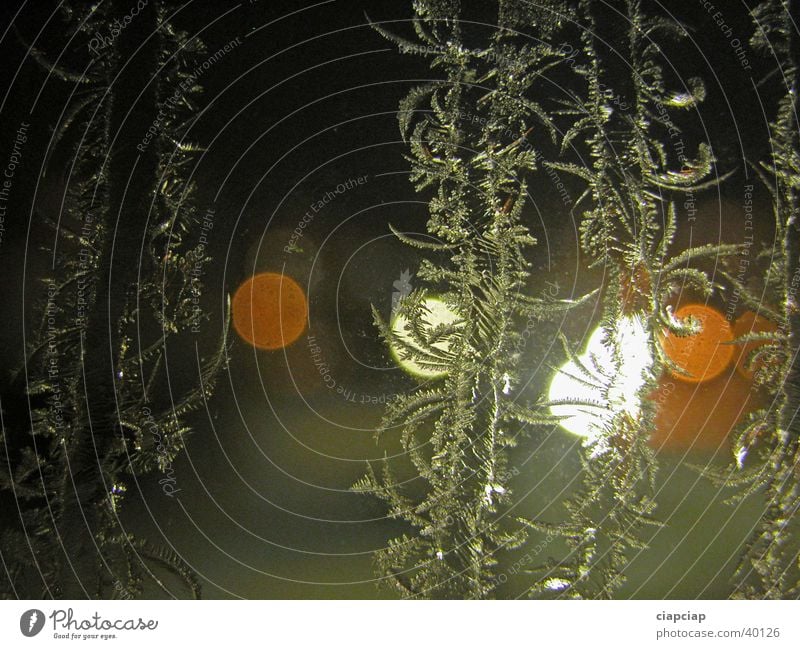 Night Light Window Macro (Extreme close-up) Close-up Hoar frost