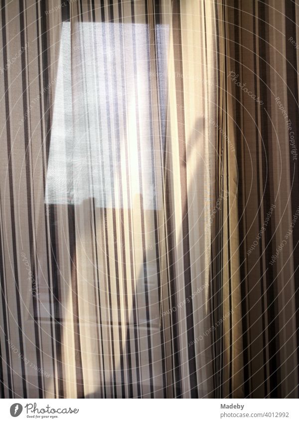 Light play on a curtain in the morning in a penthouse in the Nordend in Frankfurt on the Main in Hesse Drape Curtain Window Visual spectacle Light shows