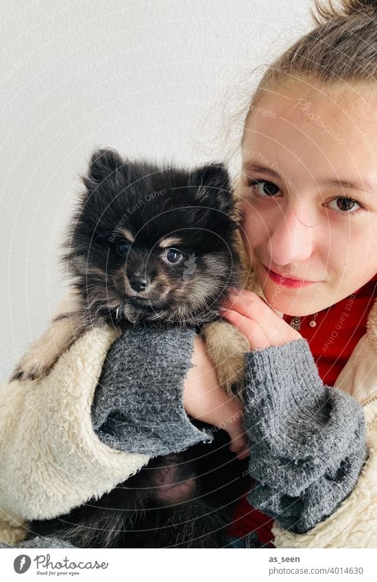 Girl holding Black Pomeranian puppy in her arms Pygmy Spitz breed of dog Looking into the camera Joy Love of animals Colour photo 1 Animal Pet Day Dog Cute