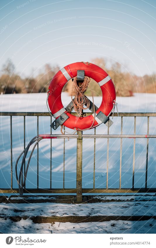 Lifebelt at a frozen lake in winter in Hamburg, Germany Steilshoop Blue Shadow Exterior shot Colour photo Town Day Gloomy Lake Frozen Appelhoffweiher Snow