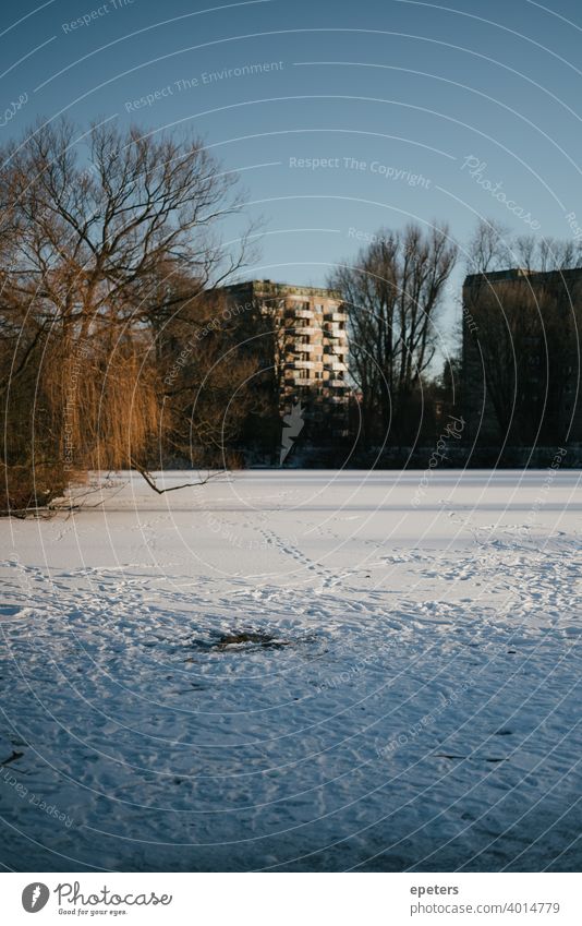 Frozen and fully snowed Appelhoffweiher lake with prefabricated building in the background Prefab construction Panel construction Steilshoop Blue Shadow Window