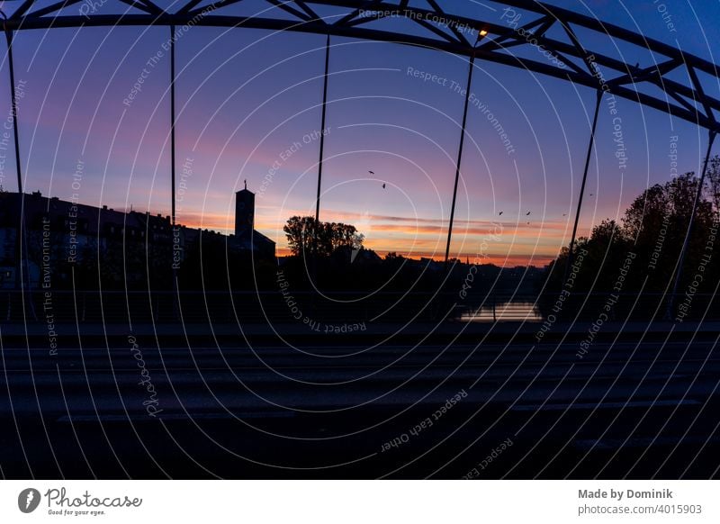 Sunrise on a bridge in Bamberg with birds flying by Deserted Exterior shot Sunlight golden hour purple Nature Colour photo Summer Sky Morning Beautiful weather