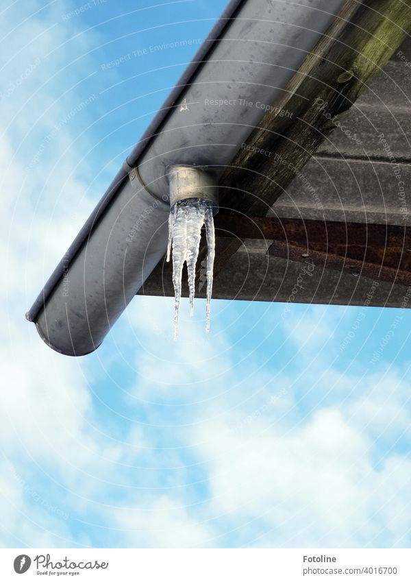 Icicles on a gutter of a long abandoned house roof Rain gutter Roof House (Residential Structure) Ice Winter Cold Frozen Frost Blue White Water Freeze