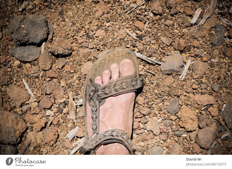 walk through dusty tundra with sandals Tundra aridity Drought Hiking Sandals Dusty Hot Ground dry spell feet Warmth