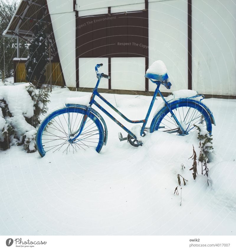 blue-frozen Snow Bicycle Outdoors Nature Frost Cold Winter Cycling Mobility snow-covered Winter mood outdoor activities Winter vacation snowed in Defective