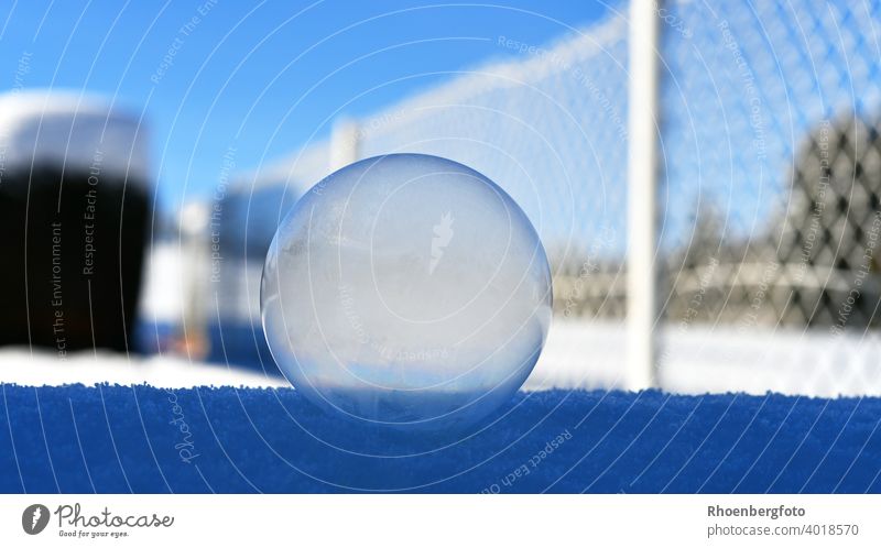 frozen soap bubble on snow covered wall with white wire mesh fence in background Soap bubble Sphere Round Garden Winter Snow Frozen Frost Ice Blue Sky Weather